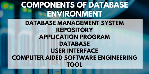 Database Environment