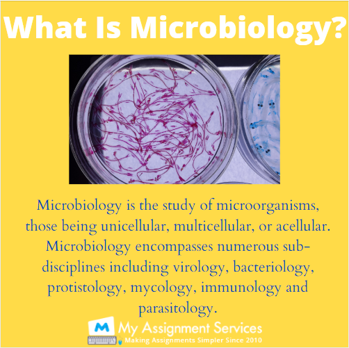 what is microbiology