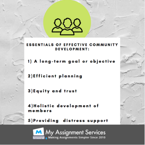 Community Development Assignment Help Services