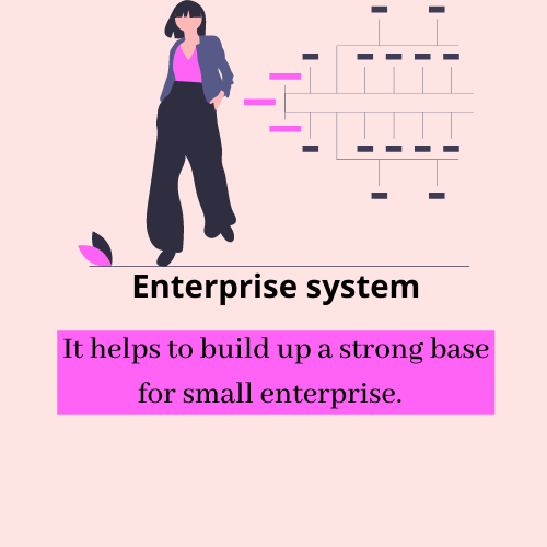 Enterprise System