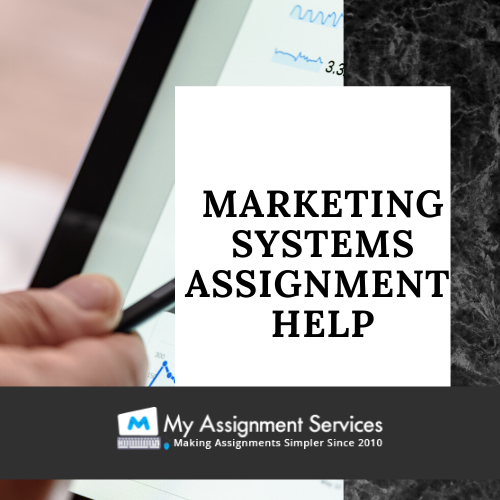 Marketing Systems Assignment Samples