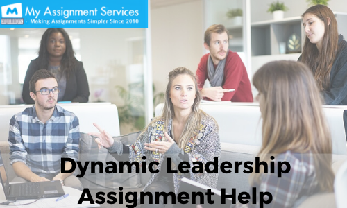 Dynamic Leadership Assignment Help