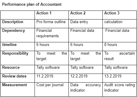 performance plan of accountant