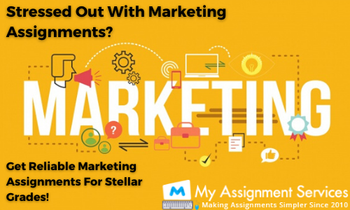 marketing mix assignment help by experts