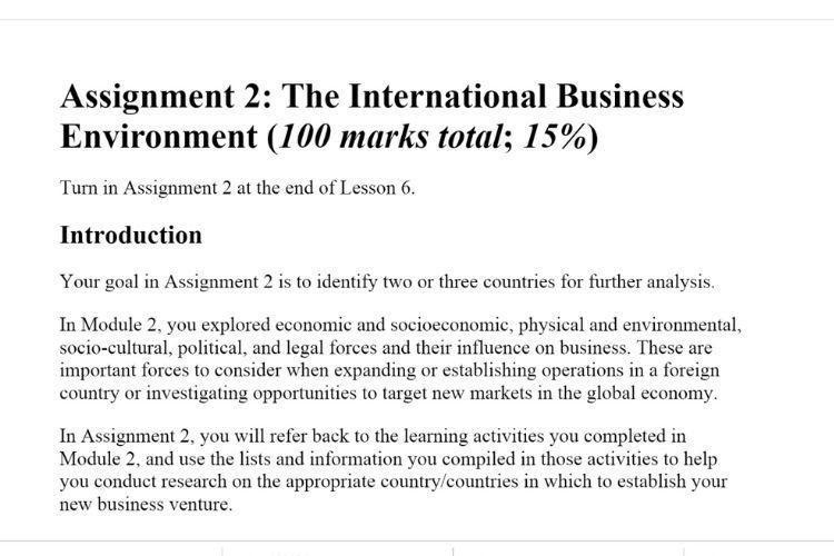 international business environment assessment sample