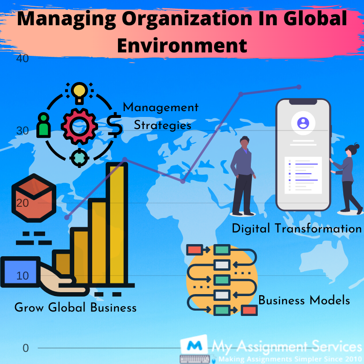 Managing Organization in Global Environment Assignment Help