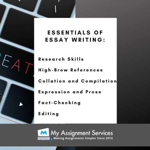 essay assignment writers