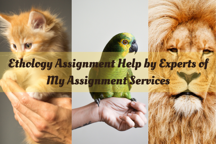 Ethnology Assignment Help 