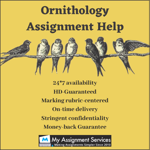 ornithology assignment help