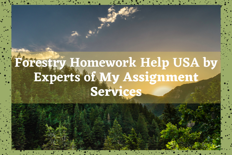  Forestry Homework Help USA