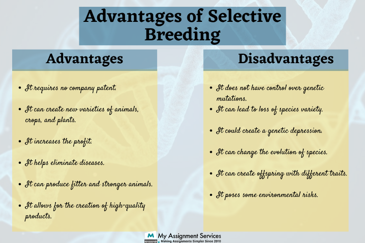 Advantages of Selective Breeding in Animals and Plants