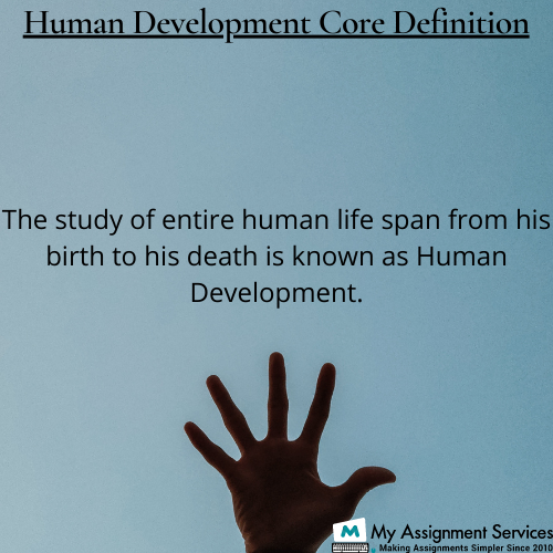human development assignment help