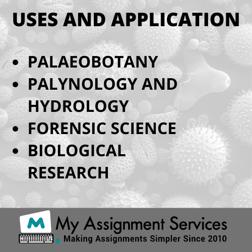 Palynology assignment help