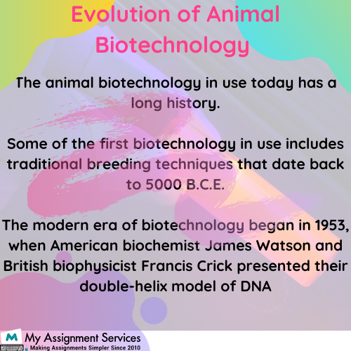Animal Biotechnology Homework Help 