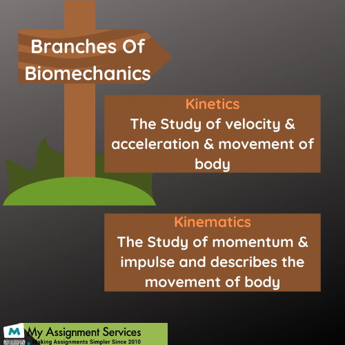 Biomechanics medical assignment help