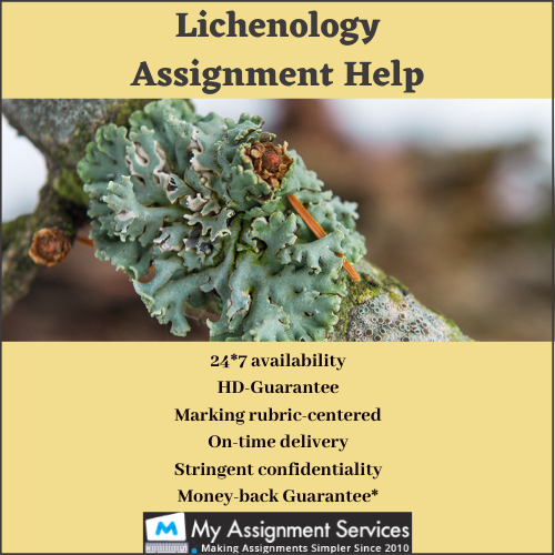lichenology assignment help