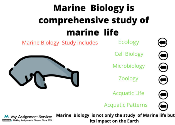  Marine Biology homework help usa