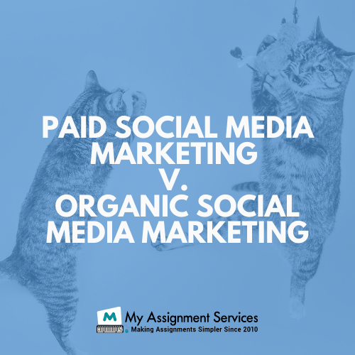 paid social media marketing