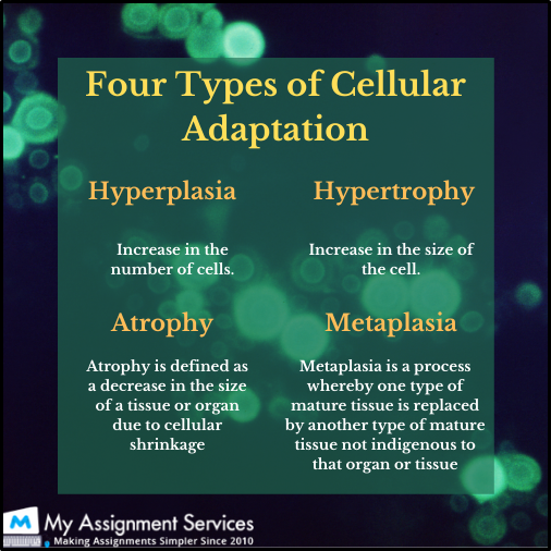 four types of cellular adaptation