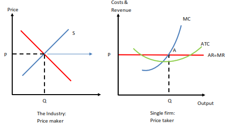 Graphs illustrating the market structure