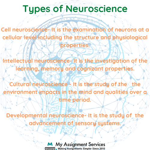 Types of Neuroscience