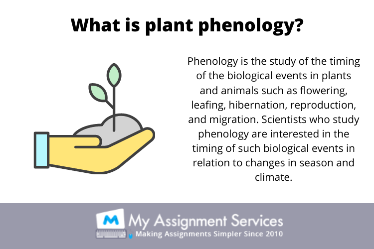 Phytogeography Homework Help in USA