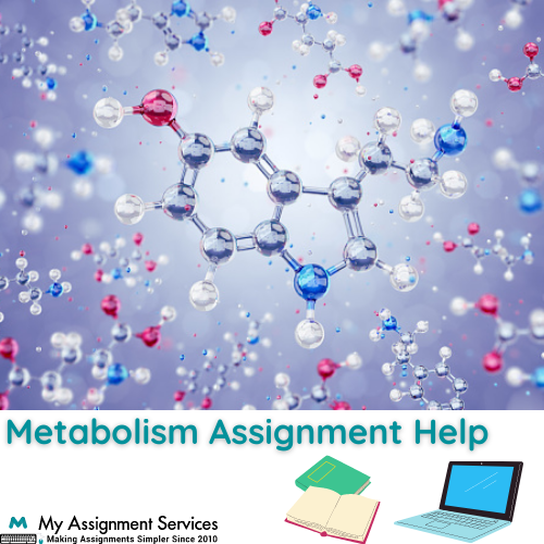 Metabolism Assignment Help