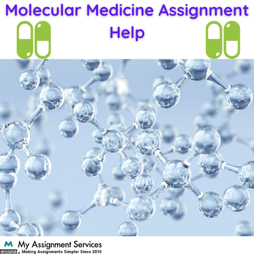 Molecular Medicine Assignment Help 