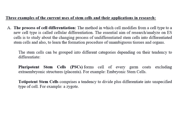 The Process of Cell Differentiation