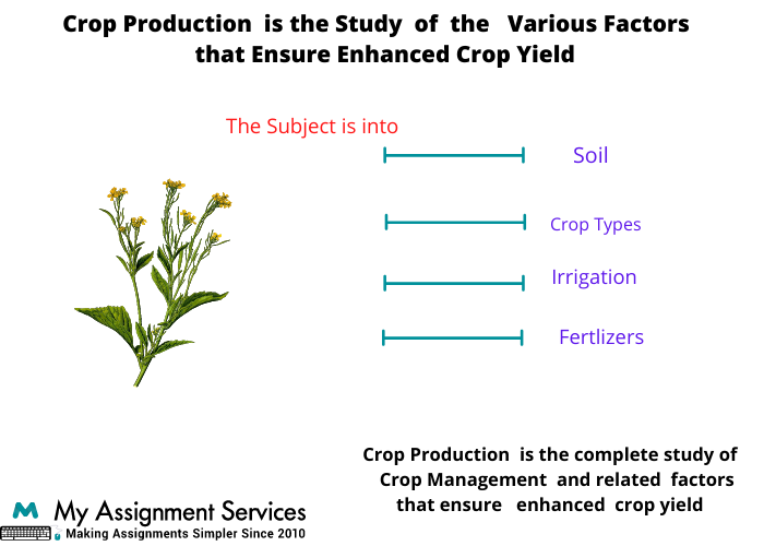 Crop Production Assignment Services