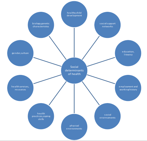 image shows The SDH Assessment Circle