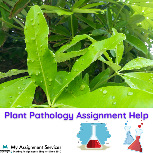 Plant Pathology Assignment Help