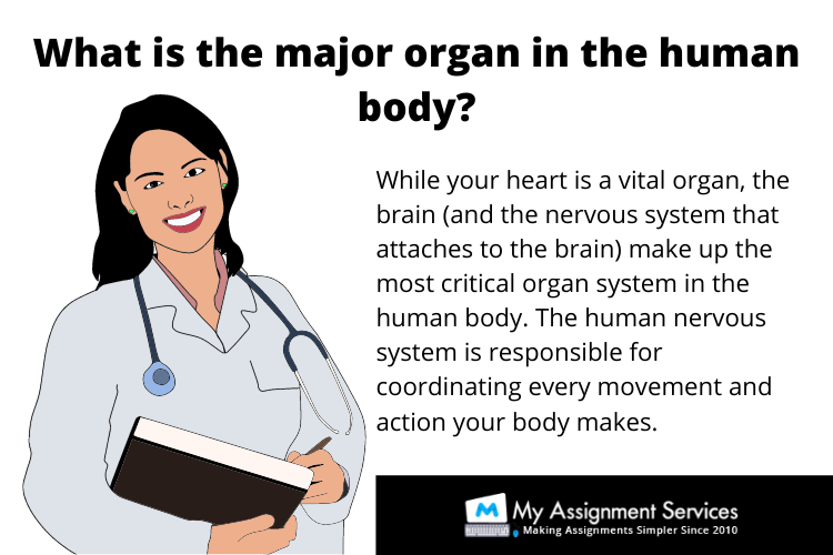 Anatomy and Physiology Systems assignment help