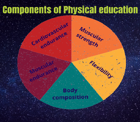 Components of Physical Education