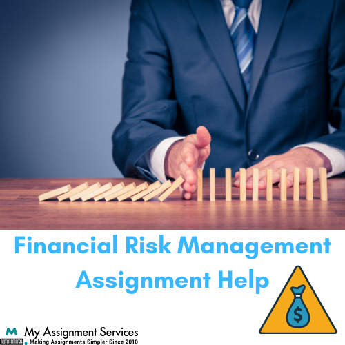 Financial Risk Management ASSIGNMENT HELP