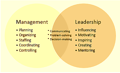 Management Leadership Assignment Help
