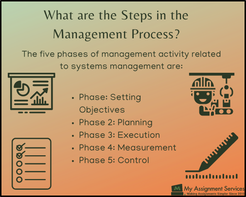 management process