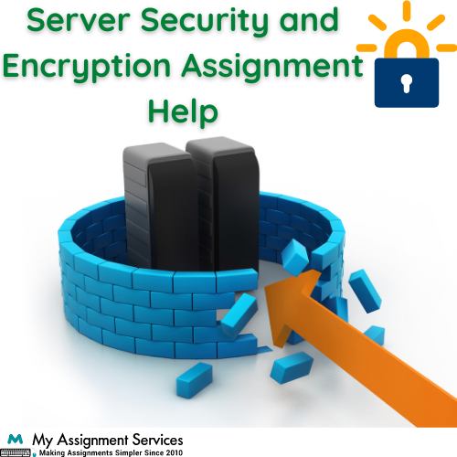 server security and encryption assignment help through guided sessions