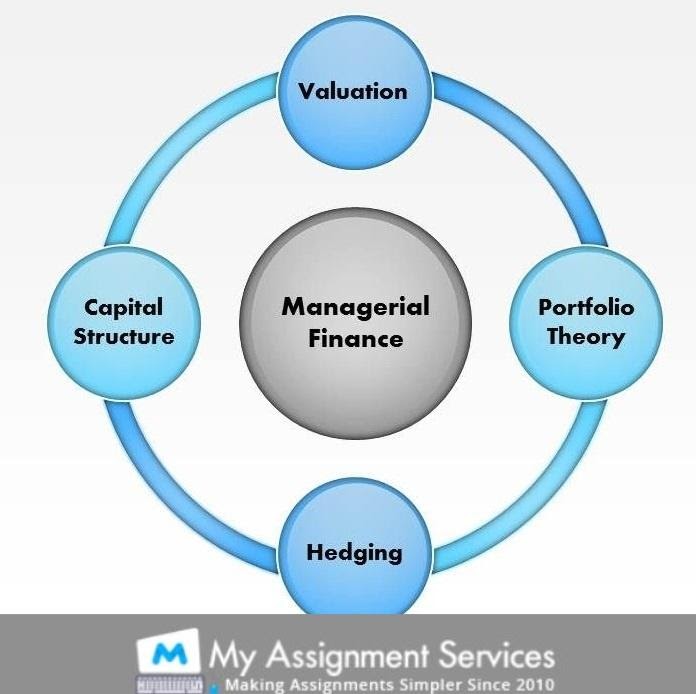 Managerial Finance Practical Assessment help