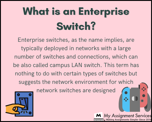 what is an enterprise switch