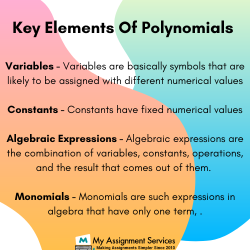 Key Elements of Polynomials 