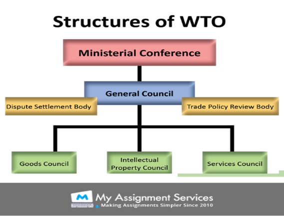 Structures of WTO
