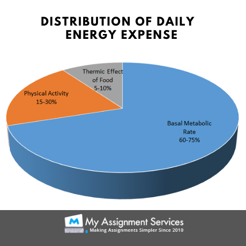 distribution of daily energy expense