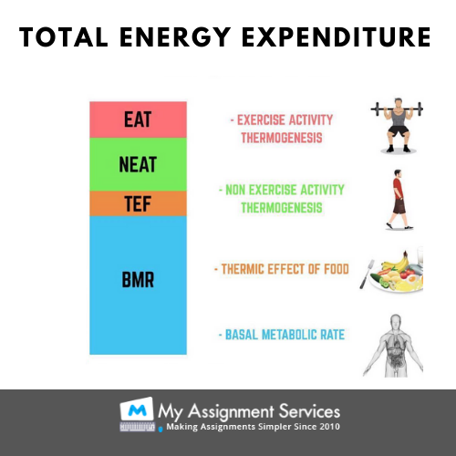 Total energy expenditure