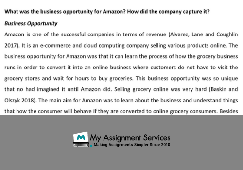 Amazon Case Study business opportunity