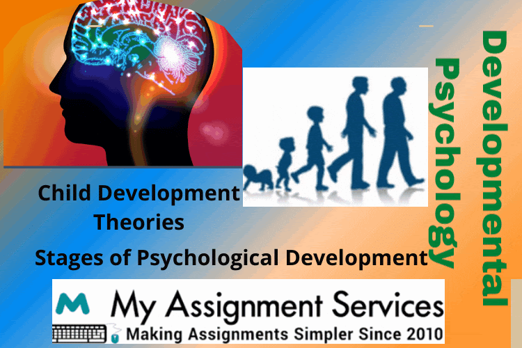 Cognitive Development Assignment Help