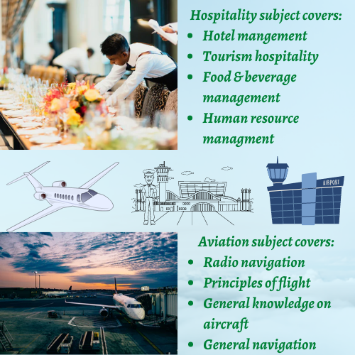 Aviation and Hospitality Assignment Help