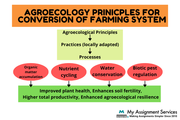 Agroecology Principles