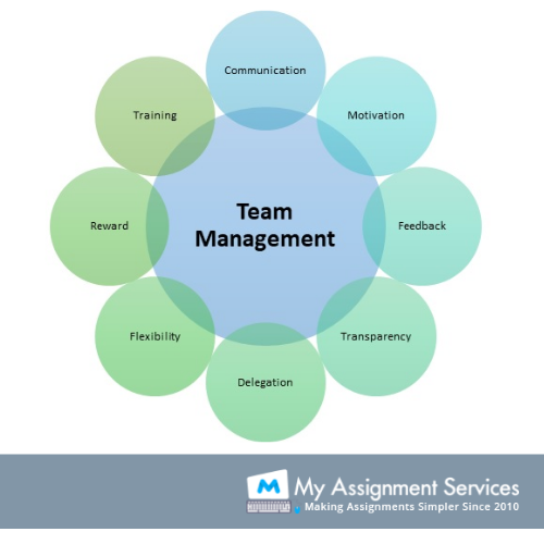 team management structure