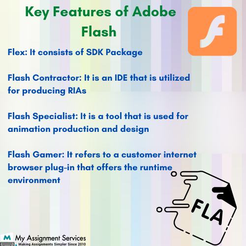 Features of Adobe flash